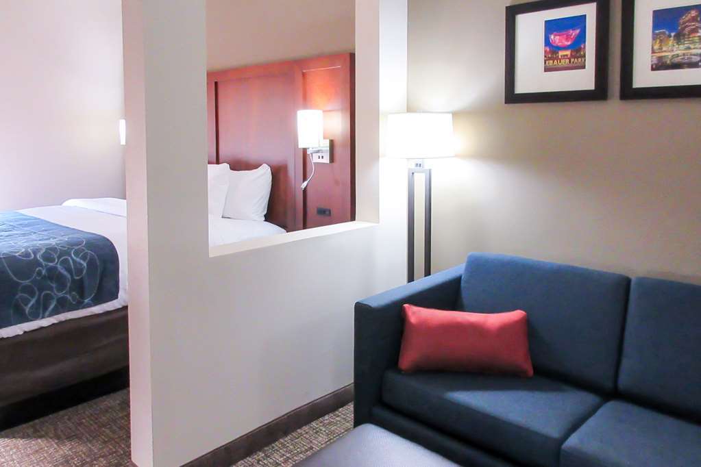 Comfort Suites Greensboro-High Point Rom bilde