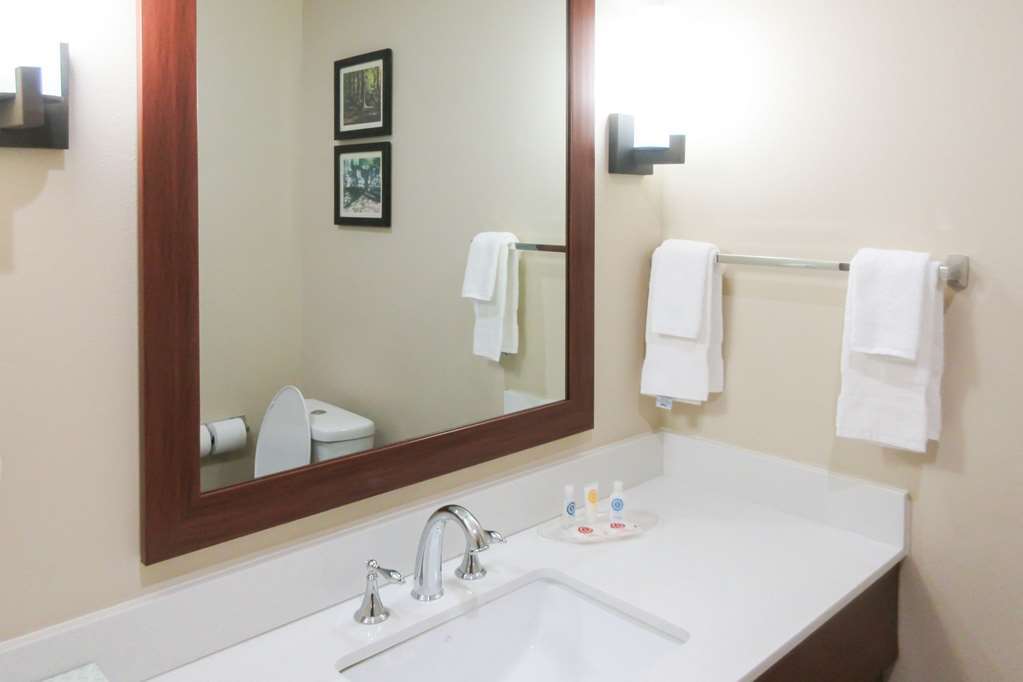 Comfort Suites Greensboro-High Point Rom bilde